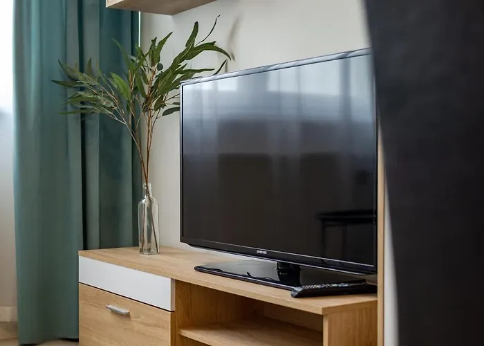 Modern & Cozy